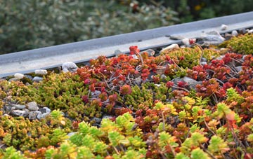 the cost of Stanbridge green roof installation