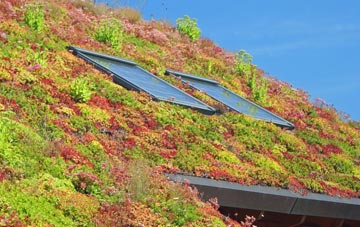 Stanbridge living roof systems