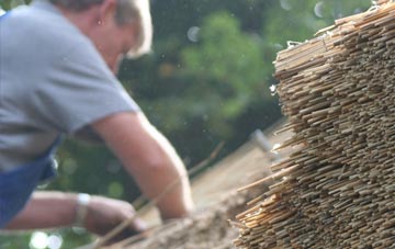 professional Stanbridge thatchers