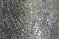 Stanbridge fibreglass roof work